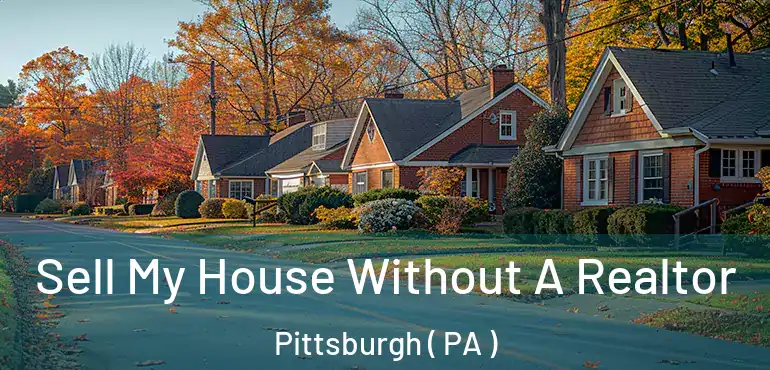 Sell My House Without A Realtor Pittsburgh ( PA )